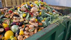A dumpster full of food waste.