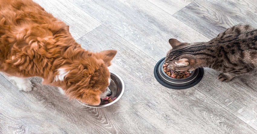 Quillaia market growing along with demand for better pet food.jpg Quillaia market growing along with demand for better pet food.jpg