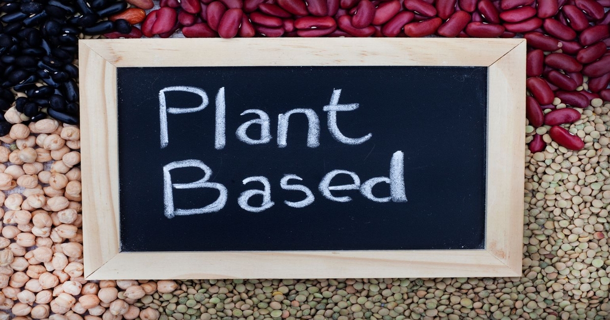 Plant-based protein food trends