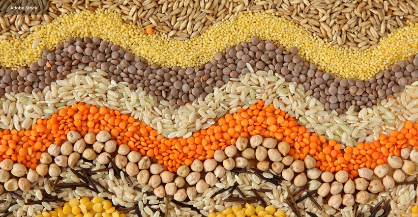 FBI23 May Protein Feature.jpg FBI23 May Protein Feature.jpg