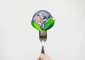 sustainable food and beverage