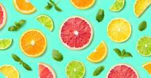 citrus fruit slices_1360293338_0.jpg