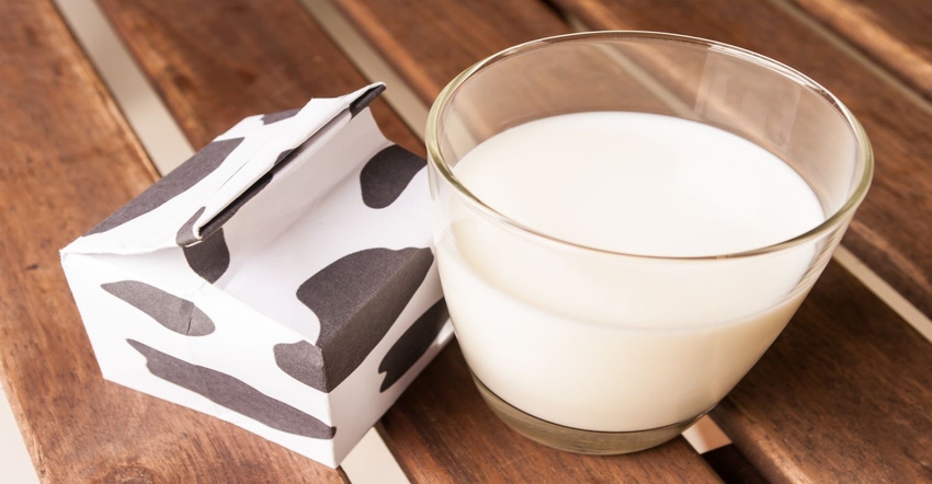 dairy milk.jpg