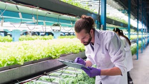 Food scientist studying crops in an indoor farm.