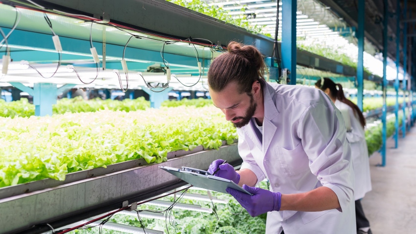 Food scientist studying crops in an indoor farm.