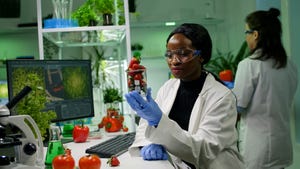 food scientist studies strawberries