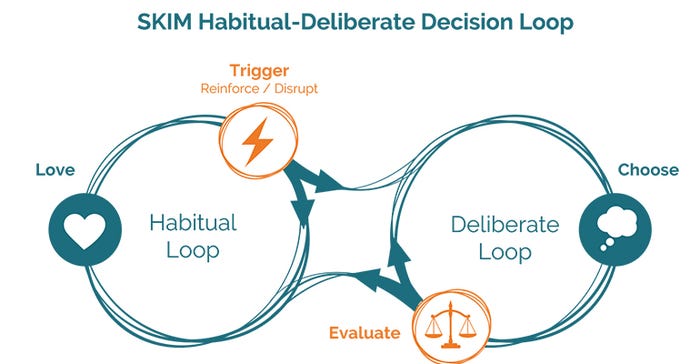 SKIM Habitual Deliberate Decision Loop.jpg