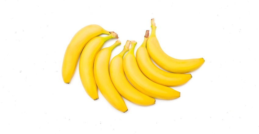 bananas lying together.jpeg