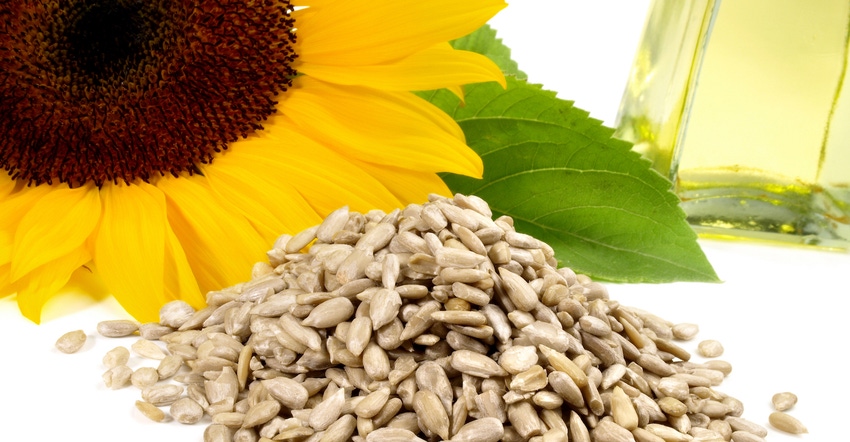Powerhouse ingredient sunflower lecithin