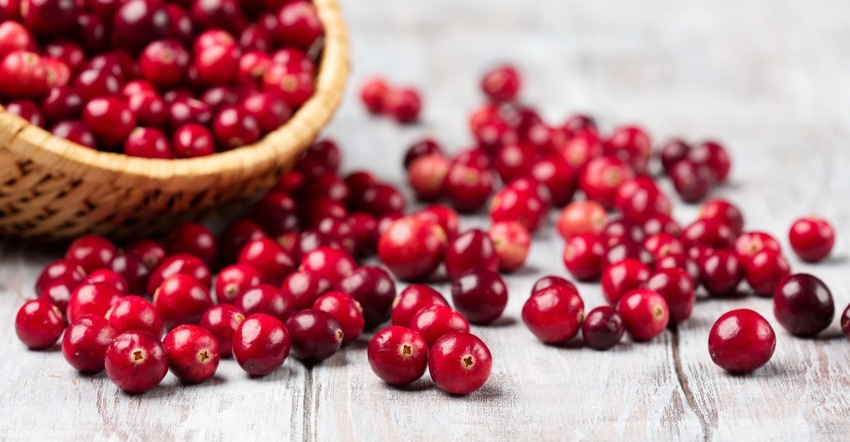 cranberries_1.jpg cranberries_1.jpg