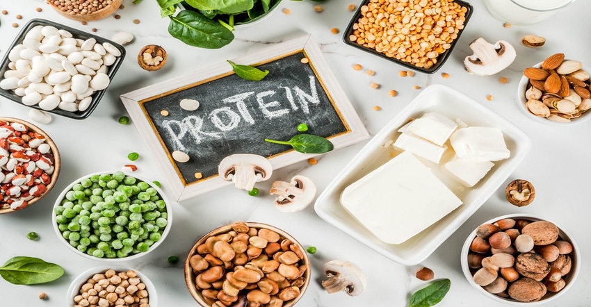 Plant-based protein, sustainable foods and beverages are trending