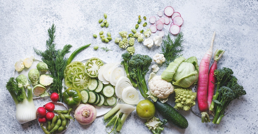 The future of plant-based alternatives_0.jpg The future of plant-based alternatives_0.jpg