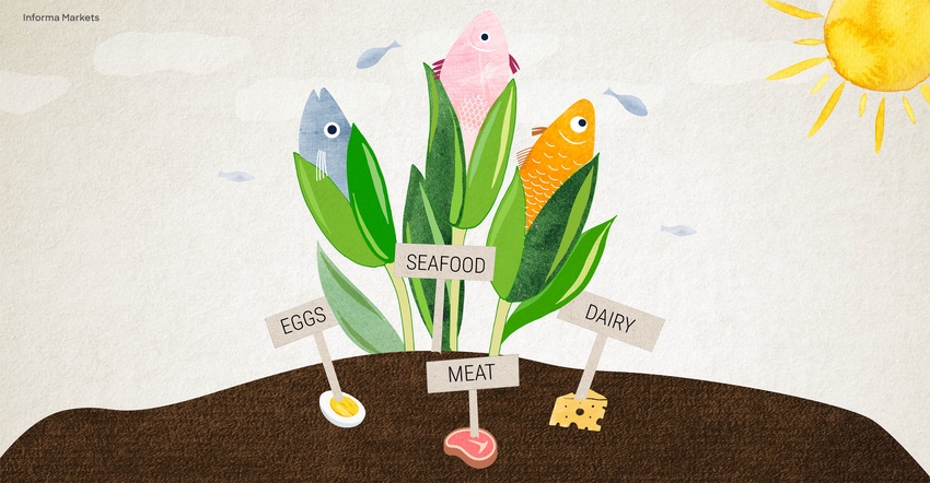 New frontiers in plant-based products New frontiers in plant-based products