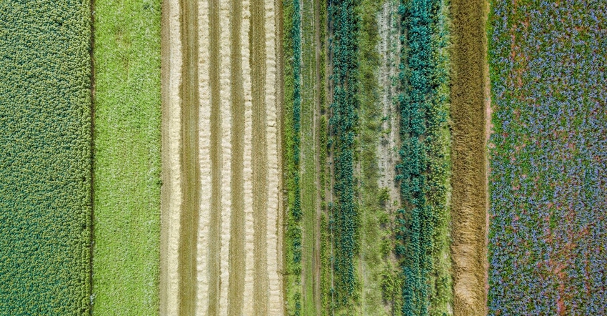 regenerative farming_0.jpg regenerative farming_0.jpg