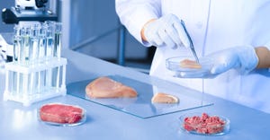 scientist examining lab-grown meat.jpg