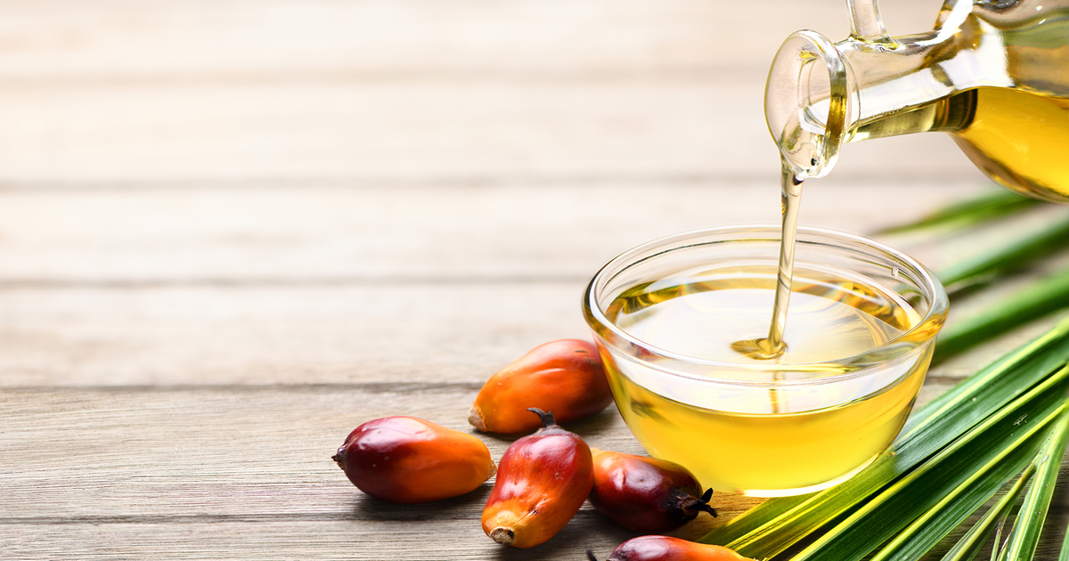 A balanced look at both sides in the palm oil debate