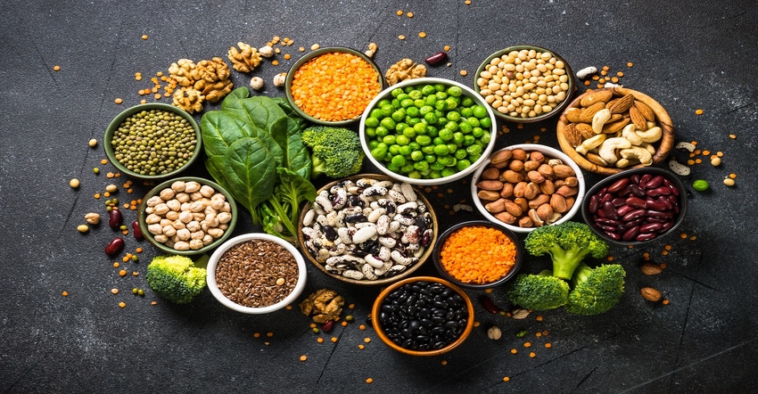 vegan protein.jpg vegan protein.jpg