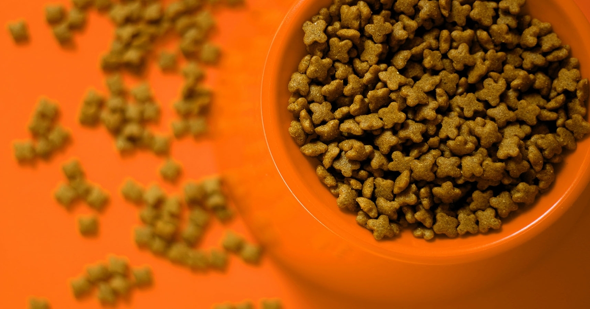 Business Bites ‘Darwin’s’ dog food flagged by FDA