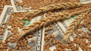 Global food prices reach 10-year high in October