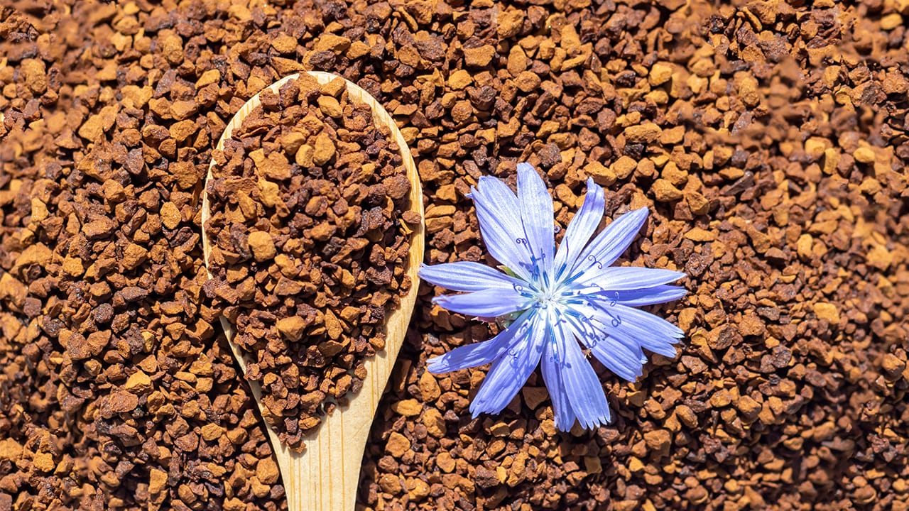 chicory root glp 1 Inulin boosts fiber in food and beverage products