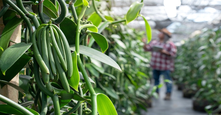 Buy Venari Appreciative Reputation Farm Carry