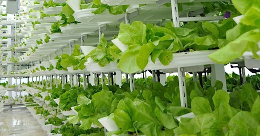 80 Acres Farms_0.jpg 80 Acres Farms_0.jpg