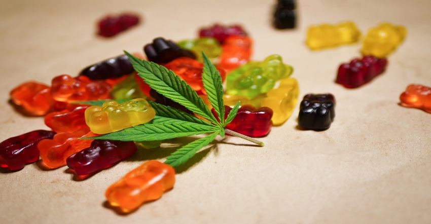 cannabis edibles.jpg
