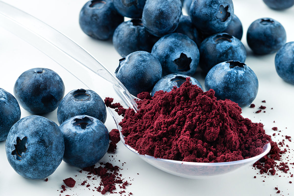 Study indicates blueberries may help reduce dementia
