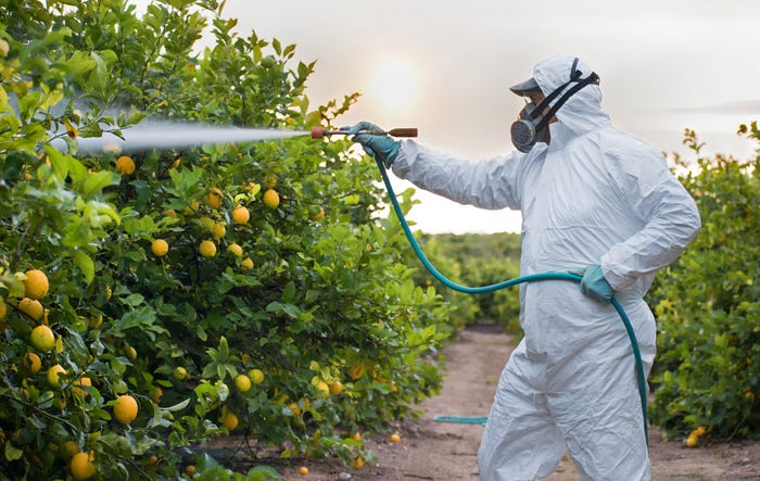 worker spraying insecticide