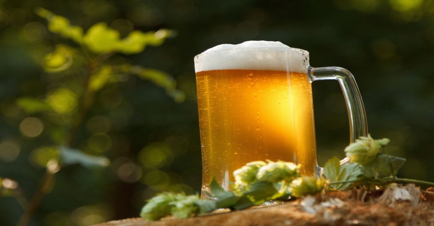 beer sustainability.jpg