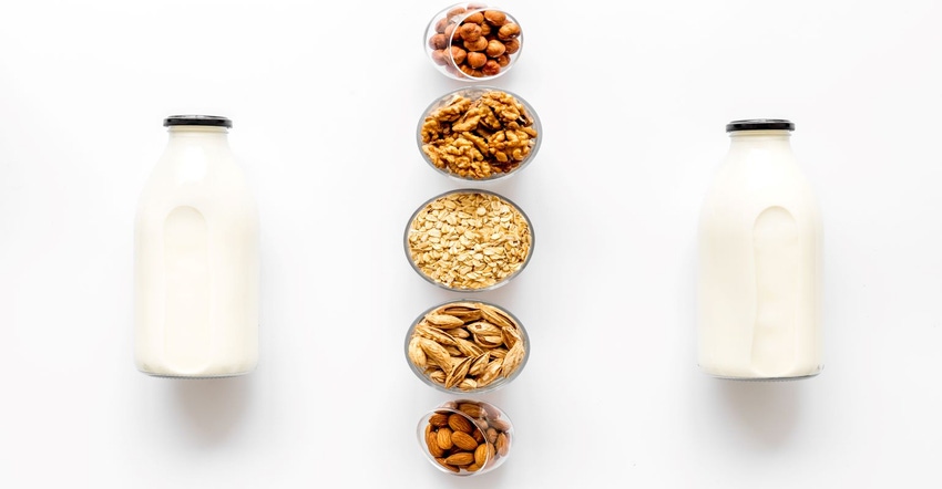 dairy and plant-based milks.jpg