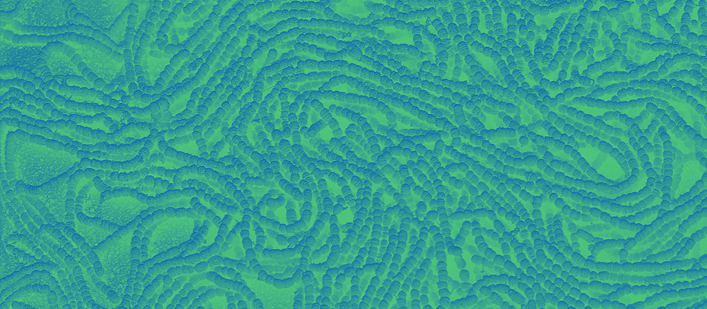 Elämä keuhkosyövän kanssa