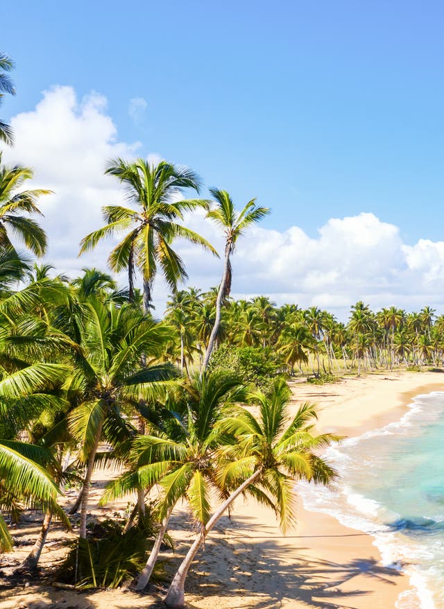 Zu den Angeboten Strand Dom Rep