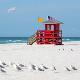 Siesta Key Hotels