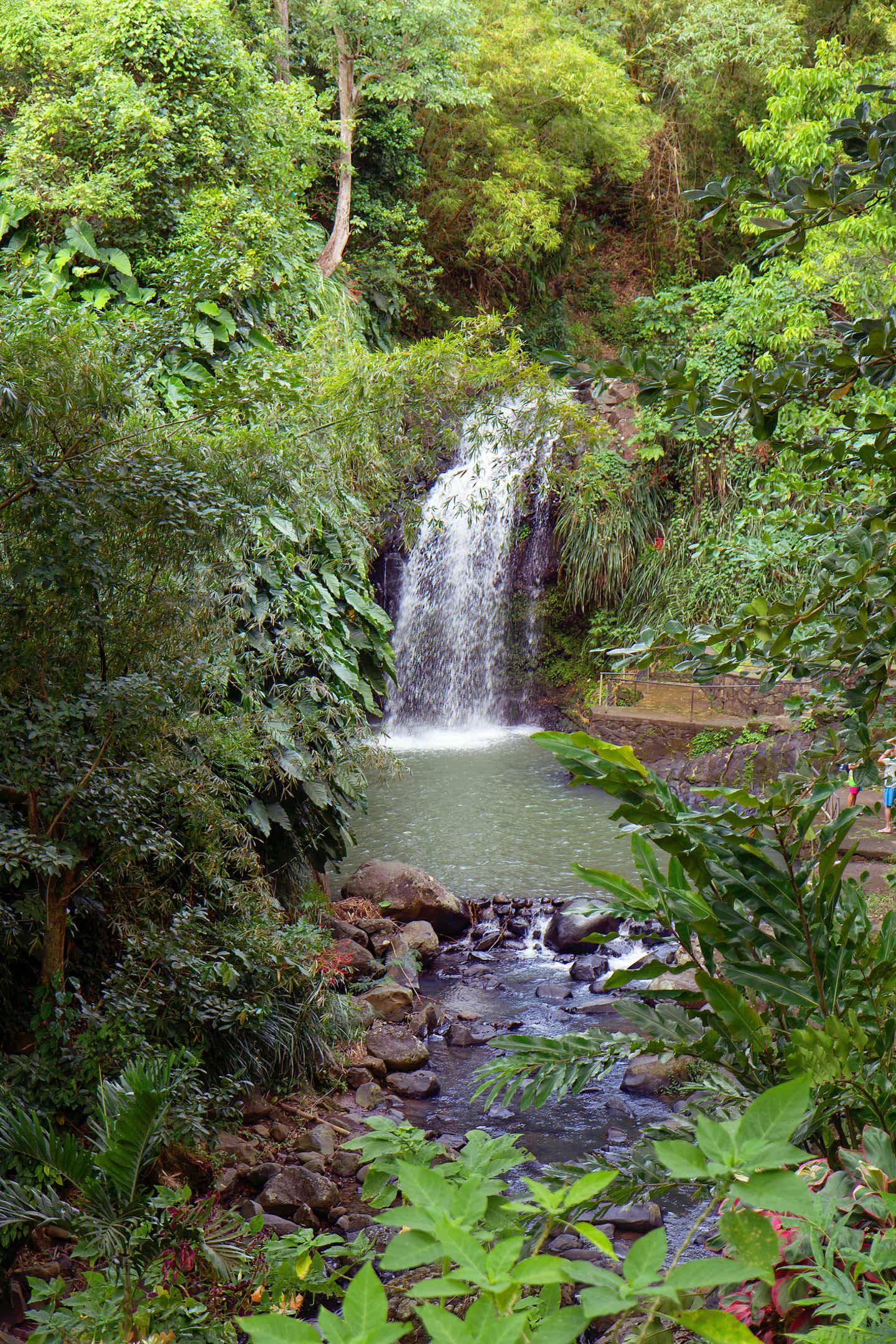 Wasserfall auf Grenada