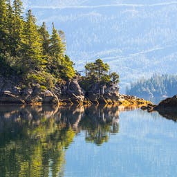 Port Hardy Hotels