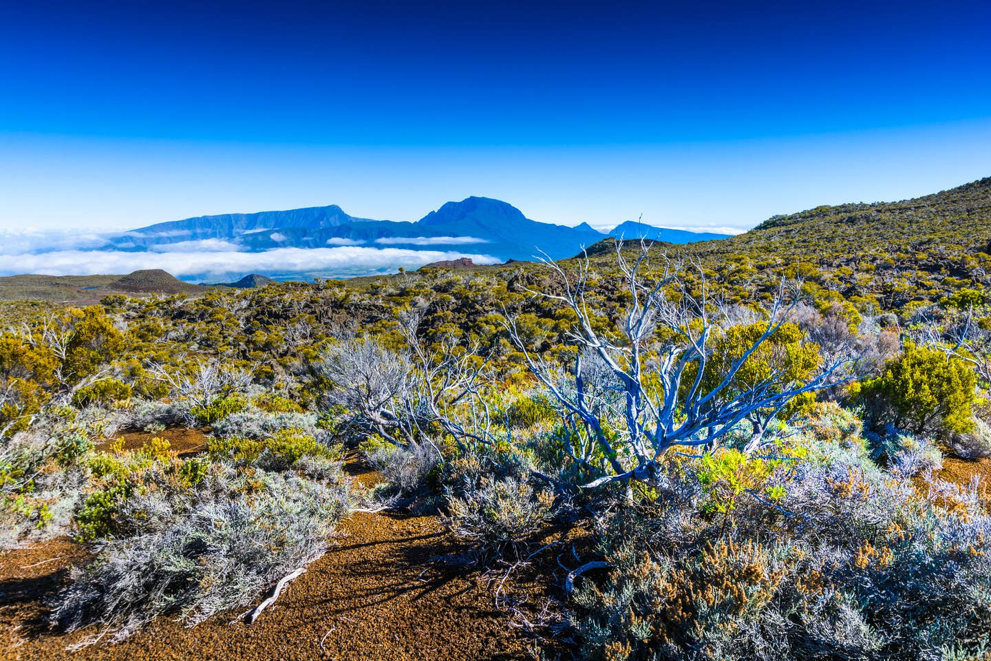 Rundreisen Reunion: Blick auf den höchsten Berg Reunions, den Piton des Neiges