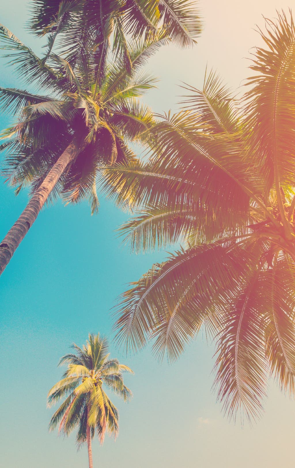 Anreise Auf Die Malediven Flugzeit Und Transfer MEIERS WELTREISEN Anreise Auf Die Malediven Flugzeit Und Transfer MEIERS WELTREISEN