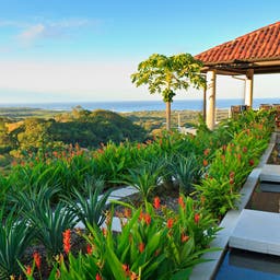 Tamarindo Hotels