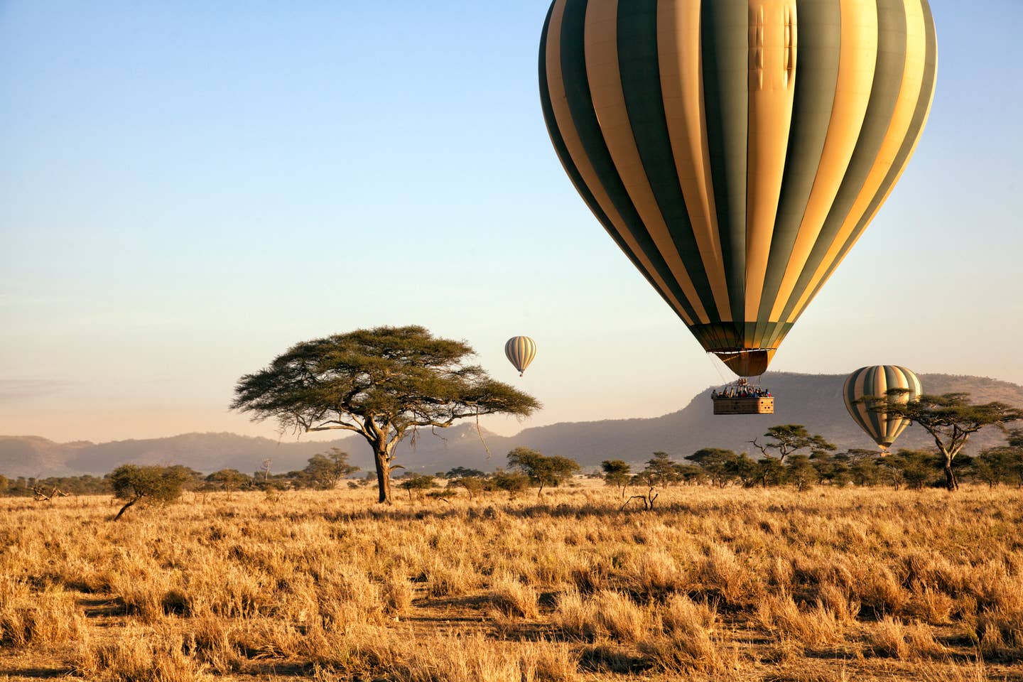 Tansania Urlaub: drei Heißluftballons über der Serengeti Tansania Urlaub: drei Heißluftballons über der Serengeti
