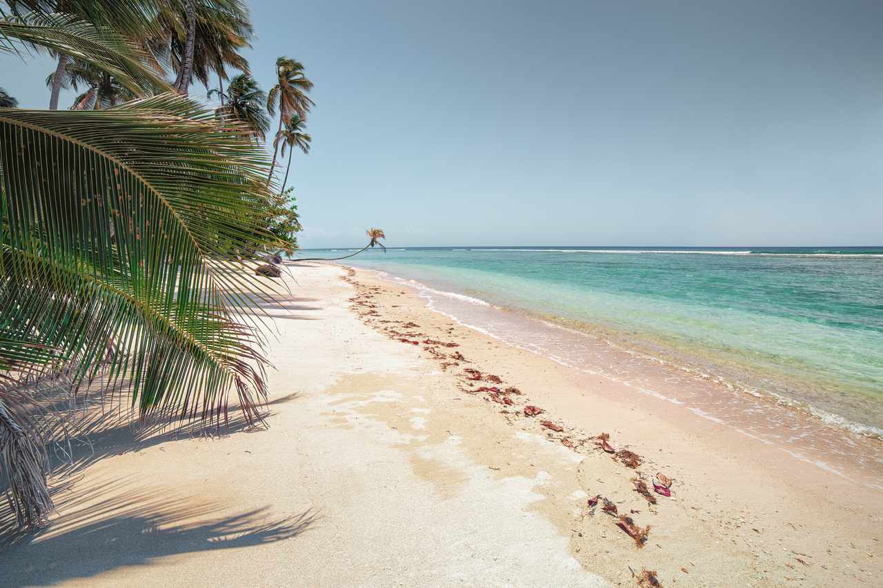 Karibischer Trinidad und Tobago Urlaub | MEIERS WELTREISEN