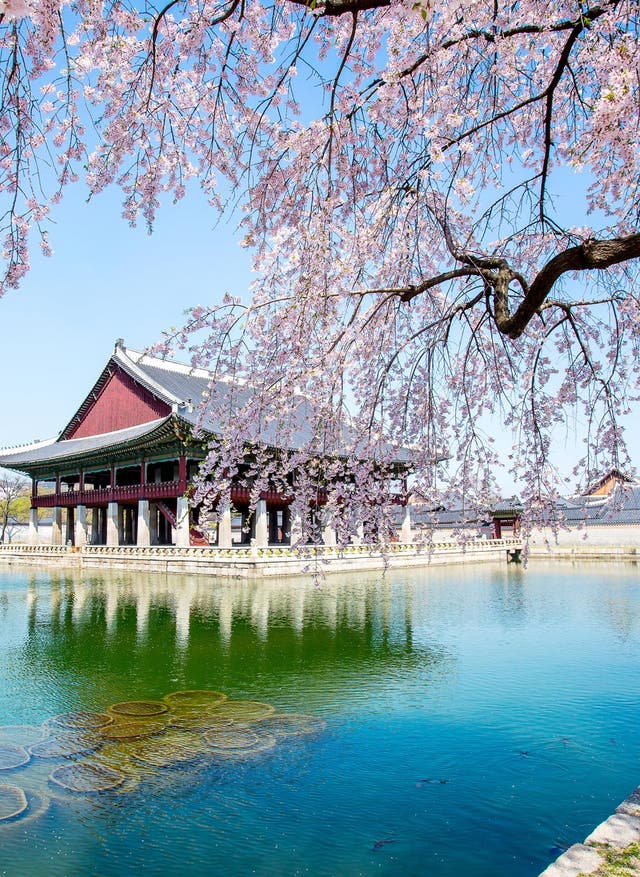 Zur Rundreise Südkorea Gyeongbokgung Palast