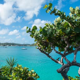 Grand Case Hotels