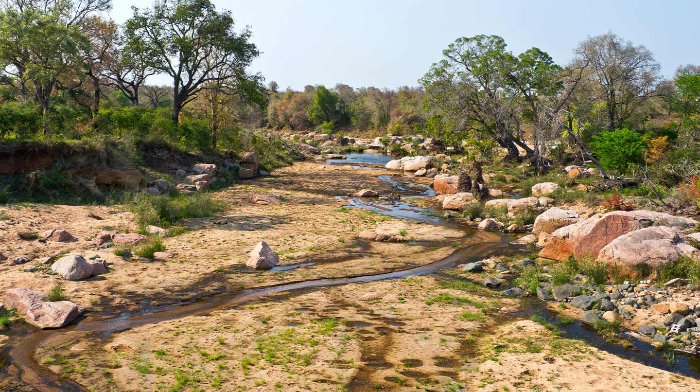 Afrikas Sehenswürdigkeiten: Sabie River im Kruger Nationalpark Afrikas Sehenswürdigkeiten: Sabie River im Kruger Nationalpark