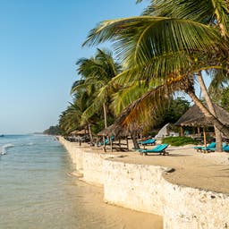 kenia-diani-beach-palmen-strand-g-2175765592.jpg