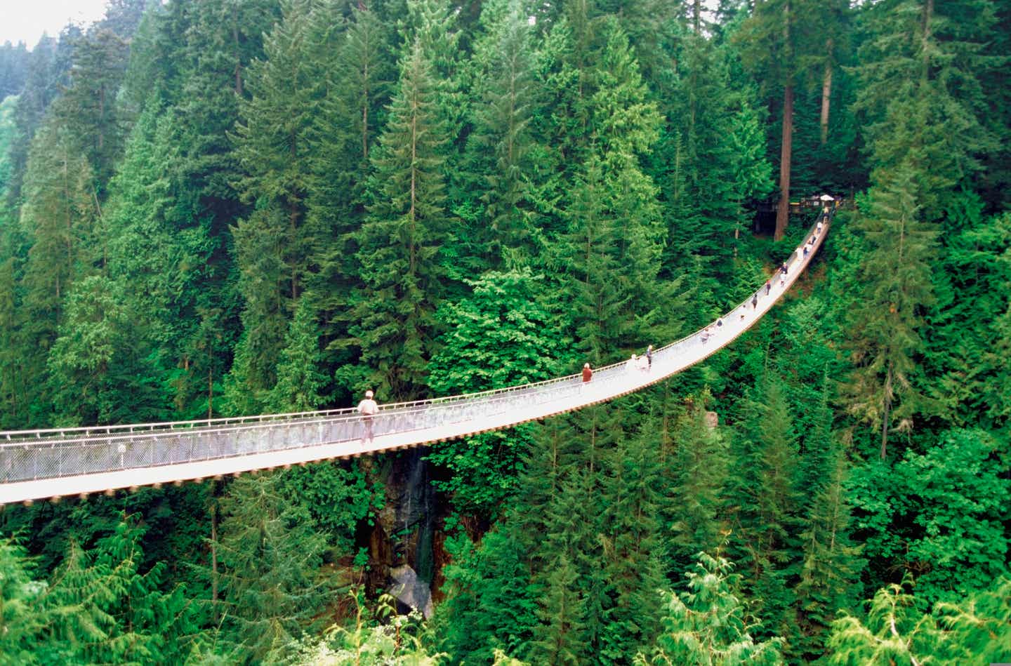 British Columbia in Kanada: Roadtrip durch grüne Wälder