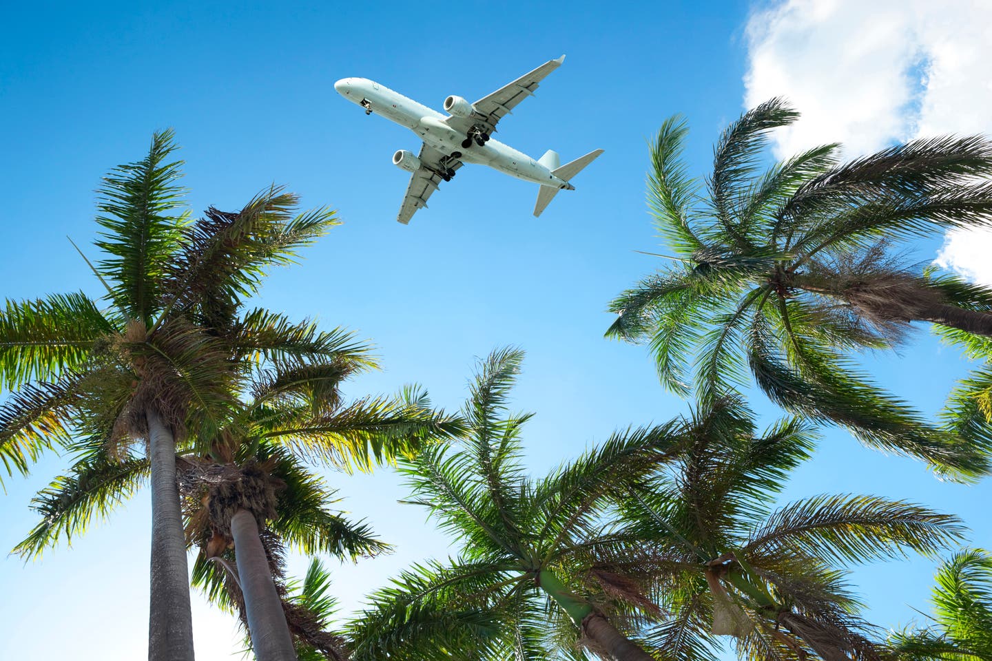 Curacao Visum: Flugzeug und Palmen