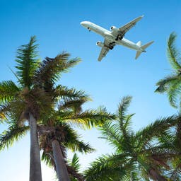 karibik-palmen-flugzeug-g-877228190.jpg
