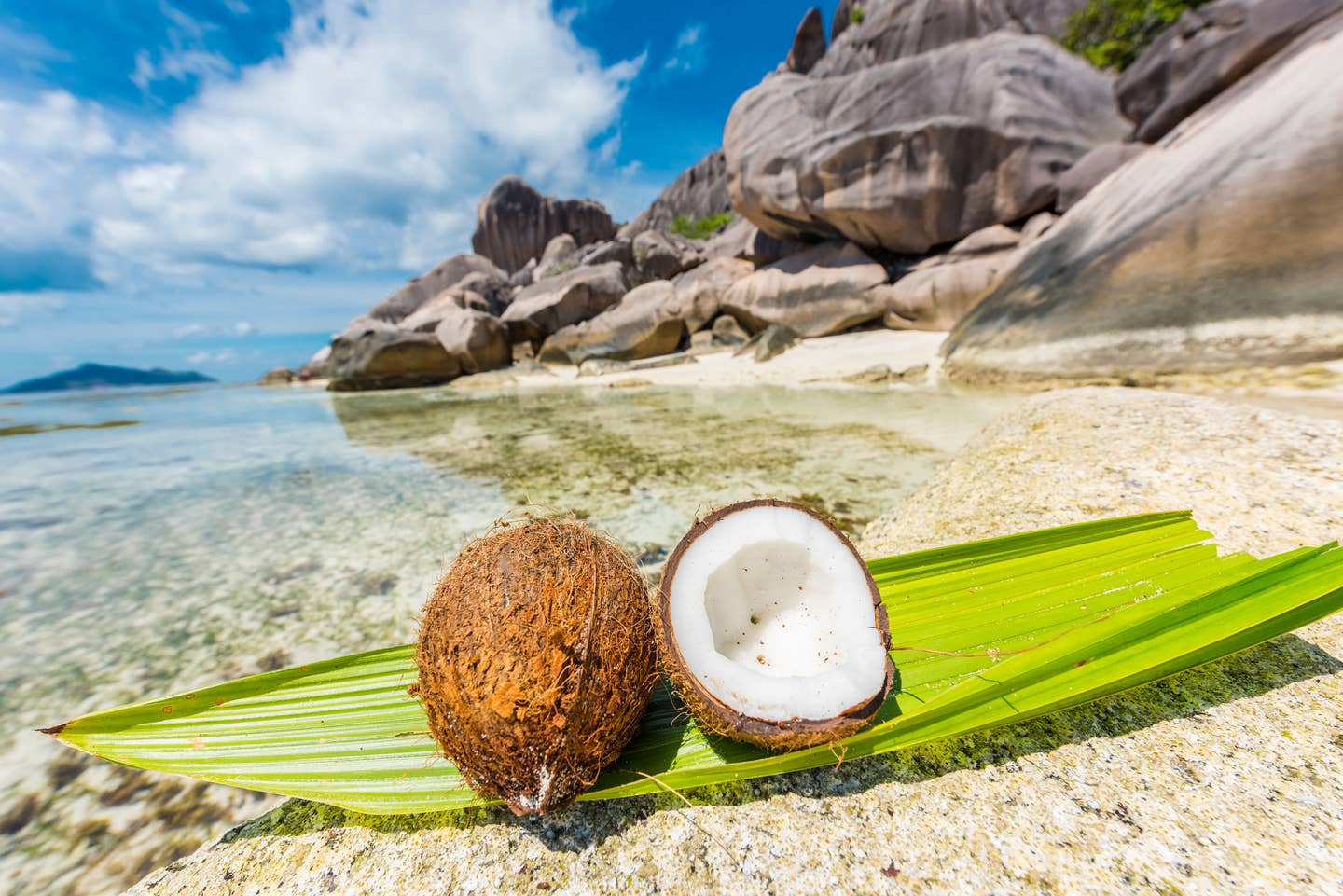 Seychellen Kokosnuss Strand