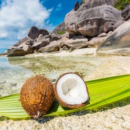 seychellen-kokosnuss-strand-t-911694562.jpg